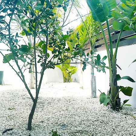 别墅 Nissini Shell, 3 Bedroom With Private Pool At Nissi