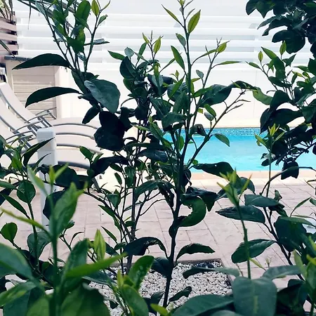 Nissini Shell, 3 Bedroom With Private Pool At Nissi Villa Ayía Nápa