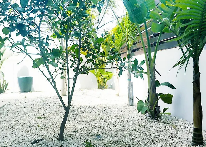 Vila Nissini Shell, 3 Bedroom With Private Pool At Nissi