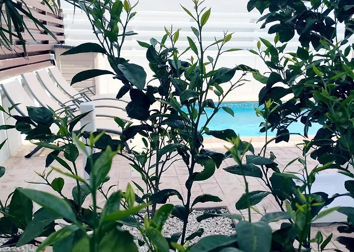 Nissini Shell, 3 Bedroom With Private Pool At Nissi Vila Ayia Napa